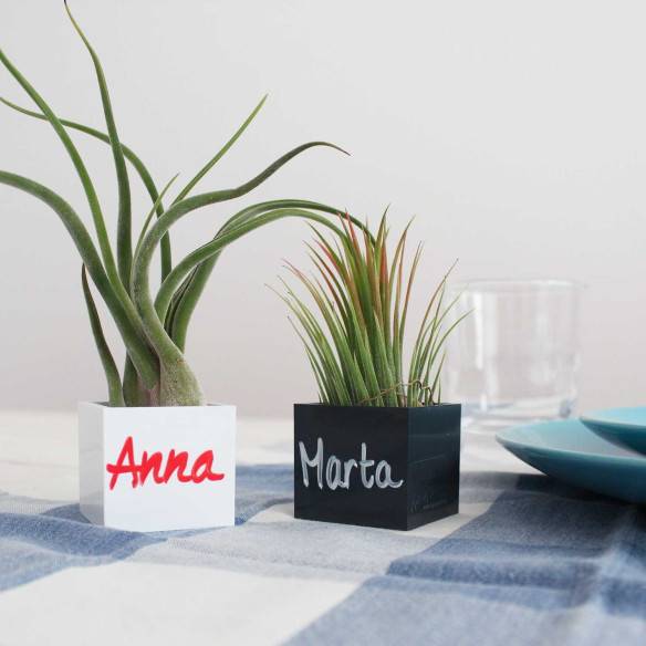 Kalamitica Cubo Magnetico 3,5 cm con Tillandsia Ionantha Promozione temporanea