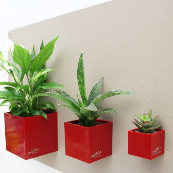 Kalamitica Cubo Magnetico 6 cm Offerta speciale della fabbrica