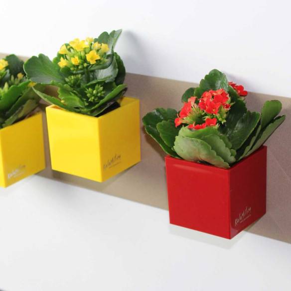 Kalamitica Cubo Magnetico 6 cm Offerta speciale della fabbrica