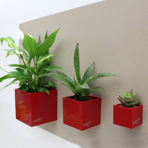 Kalamitica Set di 3 Cubi Magnetici Ø 3,5-6-9 cm Fino al 55% di sconto