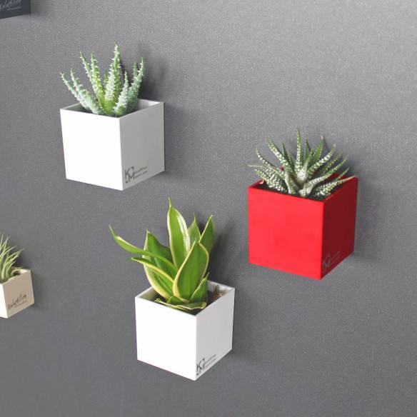 Kalamitica Assortimento di Cubi Magnetici Ø 6 cm Discount Store per i nuovi prodotti