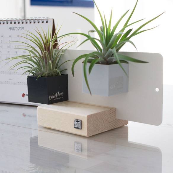 Kalamitica KIT EVERGREEN, Soprammobile Soggiorno con Piante Fino Al -60%
