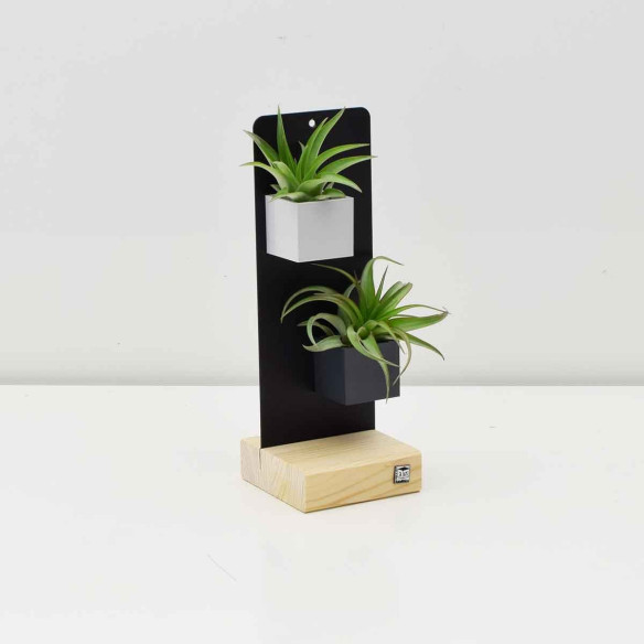 Kalamitica KIT EVERGREEN, Soprammobile Soggiorno con Piante Fino Al -60%