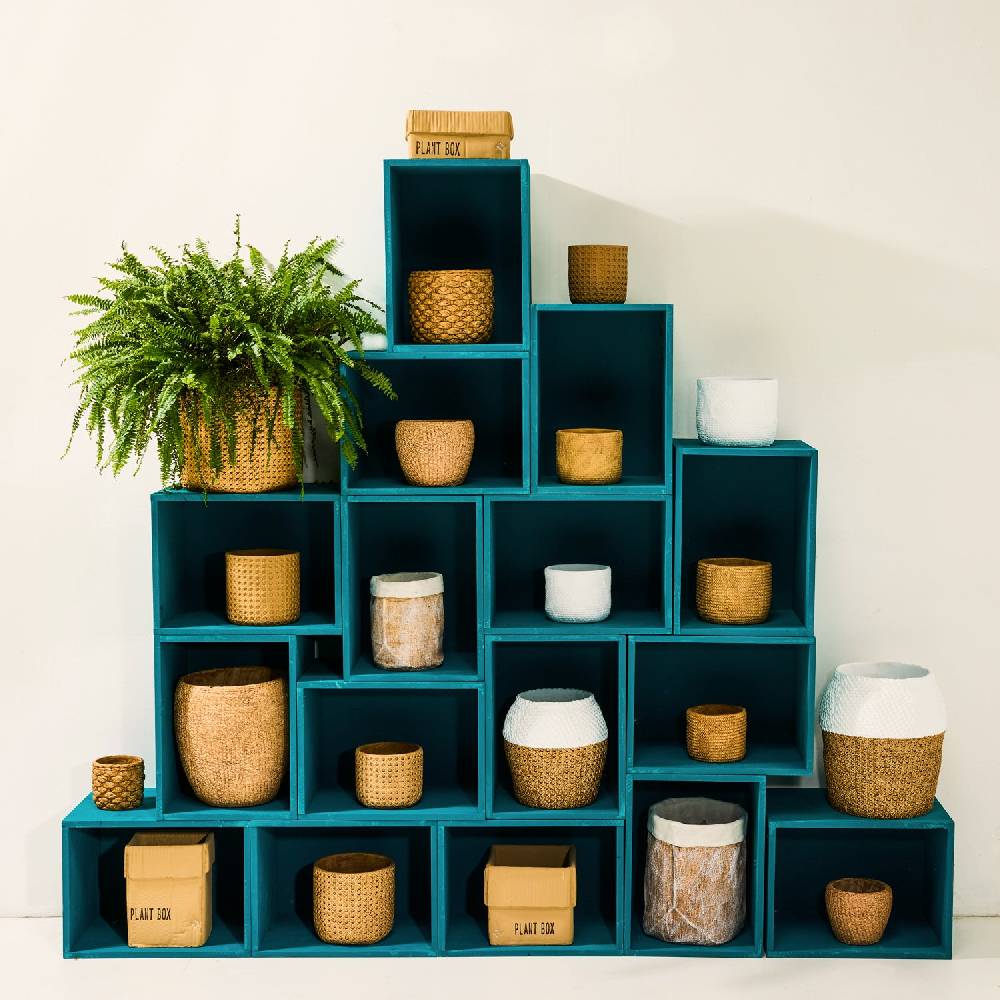 Novità Home Box Cement - Vaso a Imballo Scatola Cartone in Cemento 17cm Prezzo basso