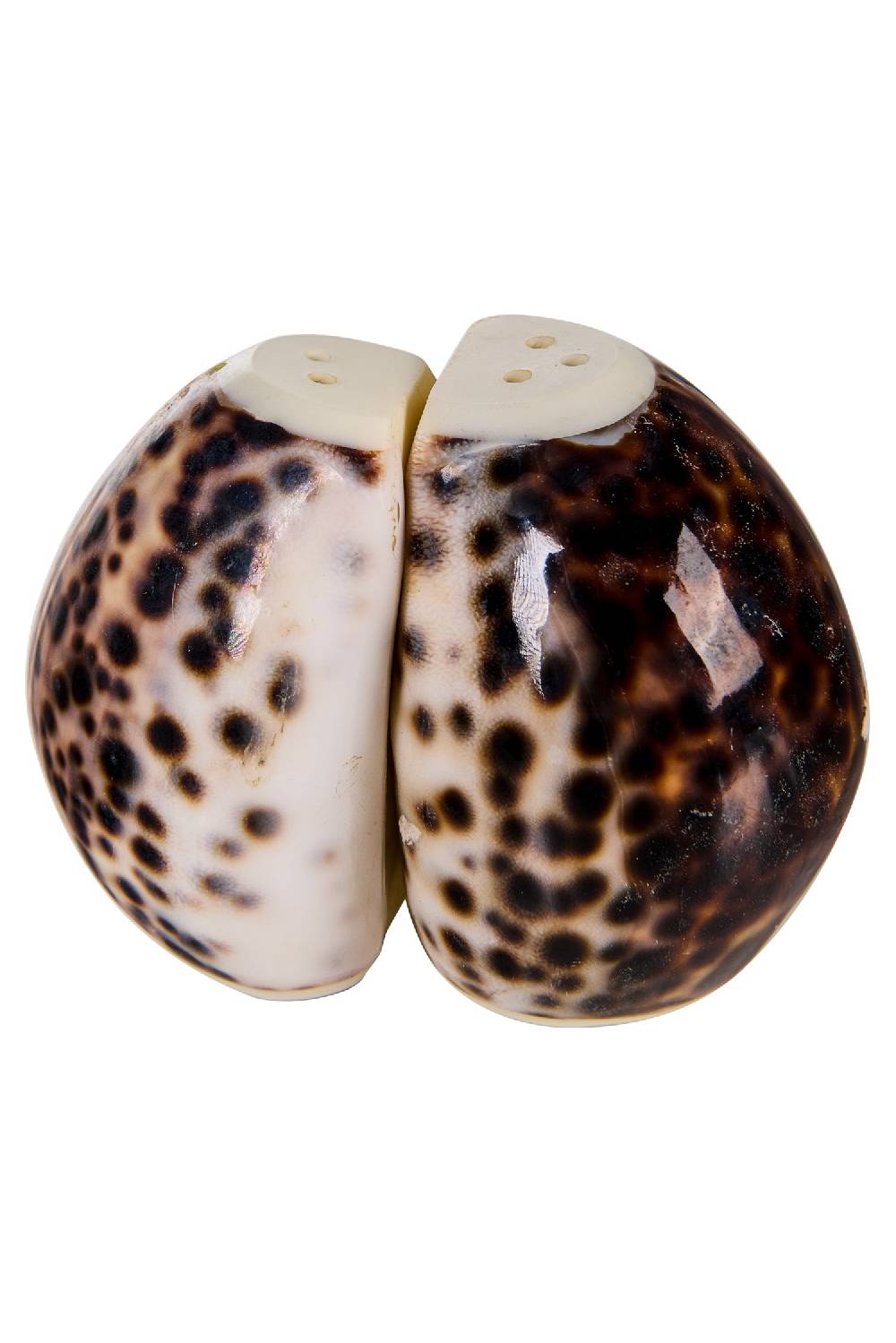 Novità Home Spotted Shells - Sale E Pepe 50% di sconto per tempo limitato