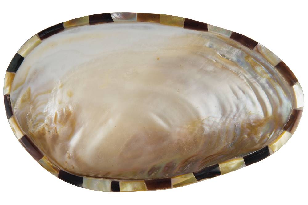 Novità Home Manyuse - Svuota Tasche Conchiglia In Linea
