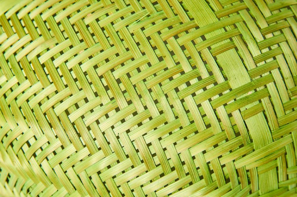 Novità Home Homemade - Coprivivande Tondo Verde ACQUISTA ORA
