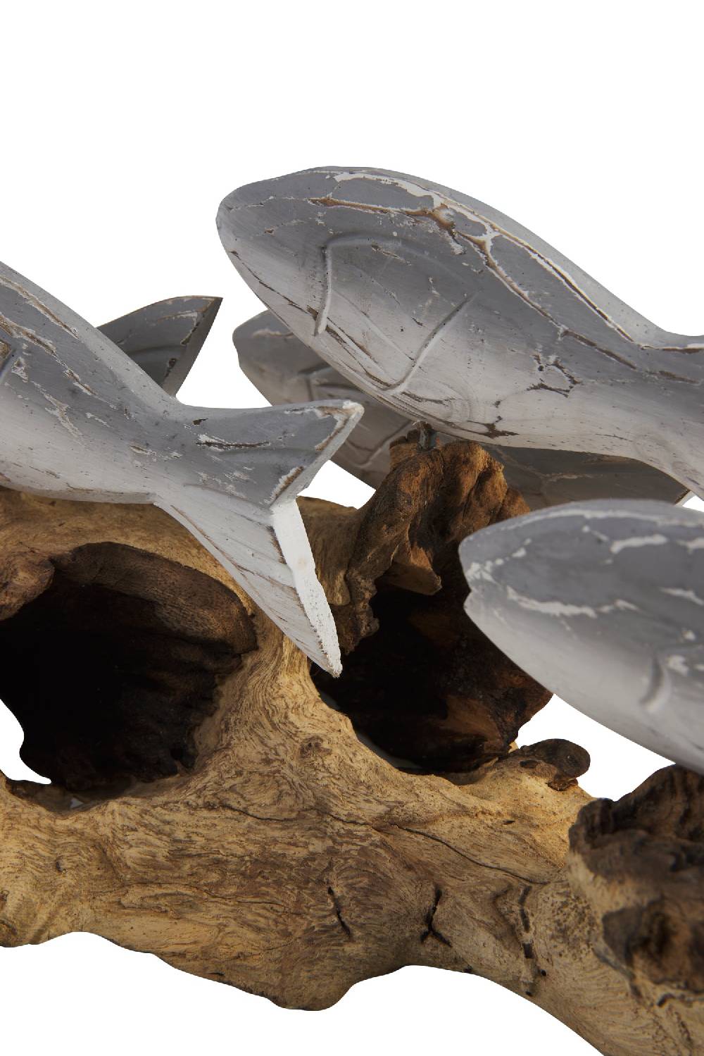 Novità Home Fish - Branco Pesci Grigi Su Tronco Moda