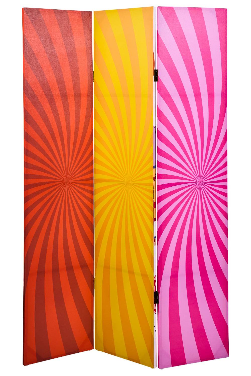 Novità Home Paravento - Mongolfiere Paraide Fronte Retro 3 Ante Canvas Esporta salva