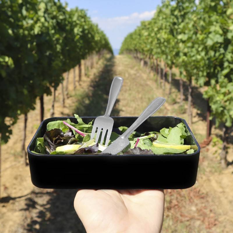 Pintinox USE&REUSE » Forchetta tavola Bestseller