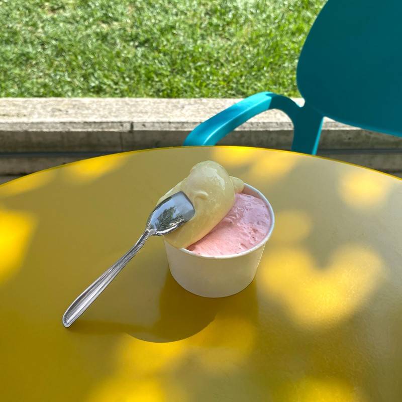 Pintinox USE&REUSE » Paletta gelato Offerte stagionali