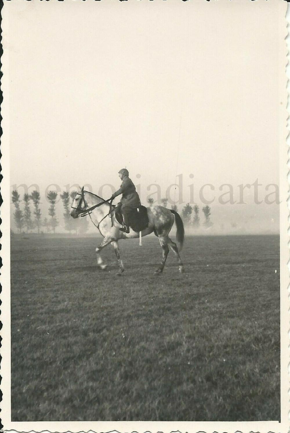 Abebooks Foto originale/autografo Col.Tarnassi Com 13°Cavalleggeri di Monferrato/Ferrara Offerta migliore